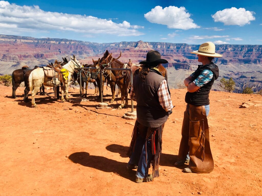 two men standing beside mules