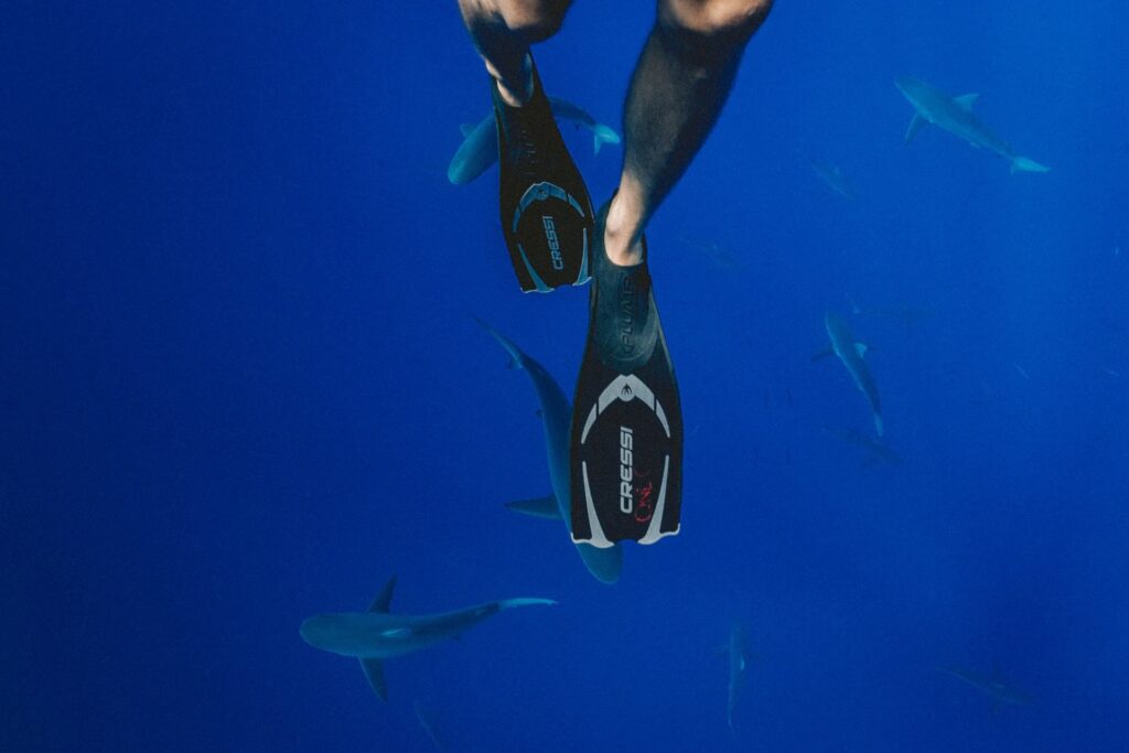 scuba diver surrounded by sharks