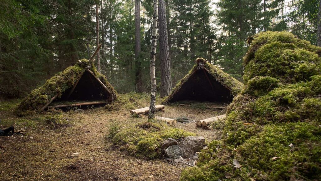Survival Camping