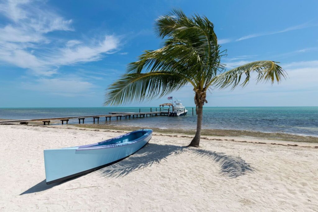 a palm tree and boat on a beach