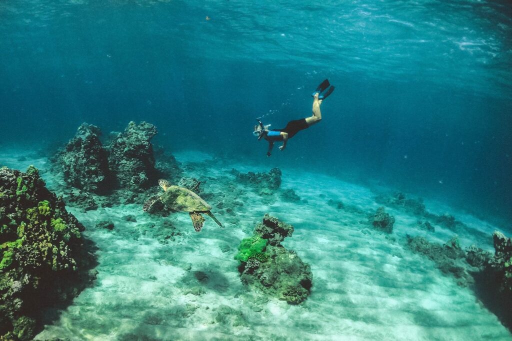 how-to-go-scuba-diving-without-certification