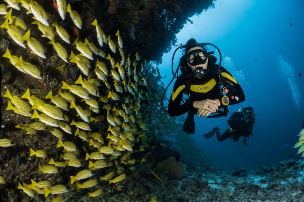a scuba diver next to a school of fish