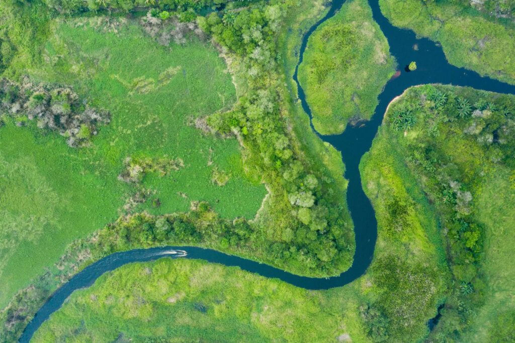 aerial view of Borneo Rainforest