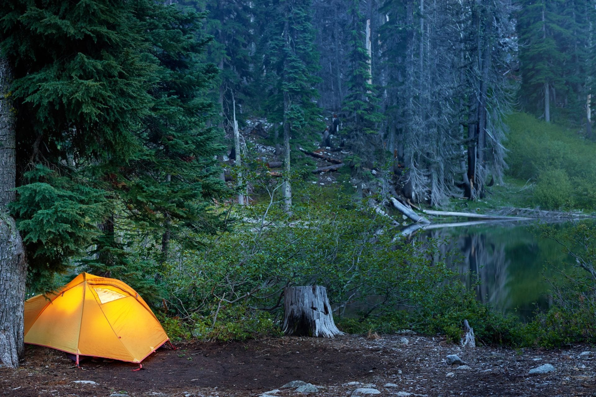 a yellow tent set up in the middle of a dark forest