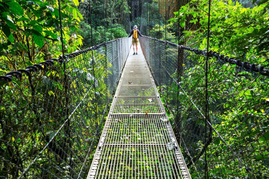 a person walking over a hanging bridge