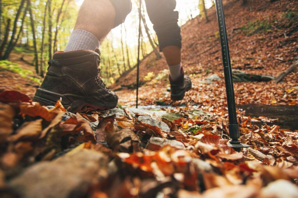 a view of man's hiking footwear, hiking in a forest 