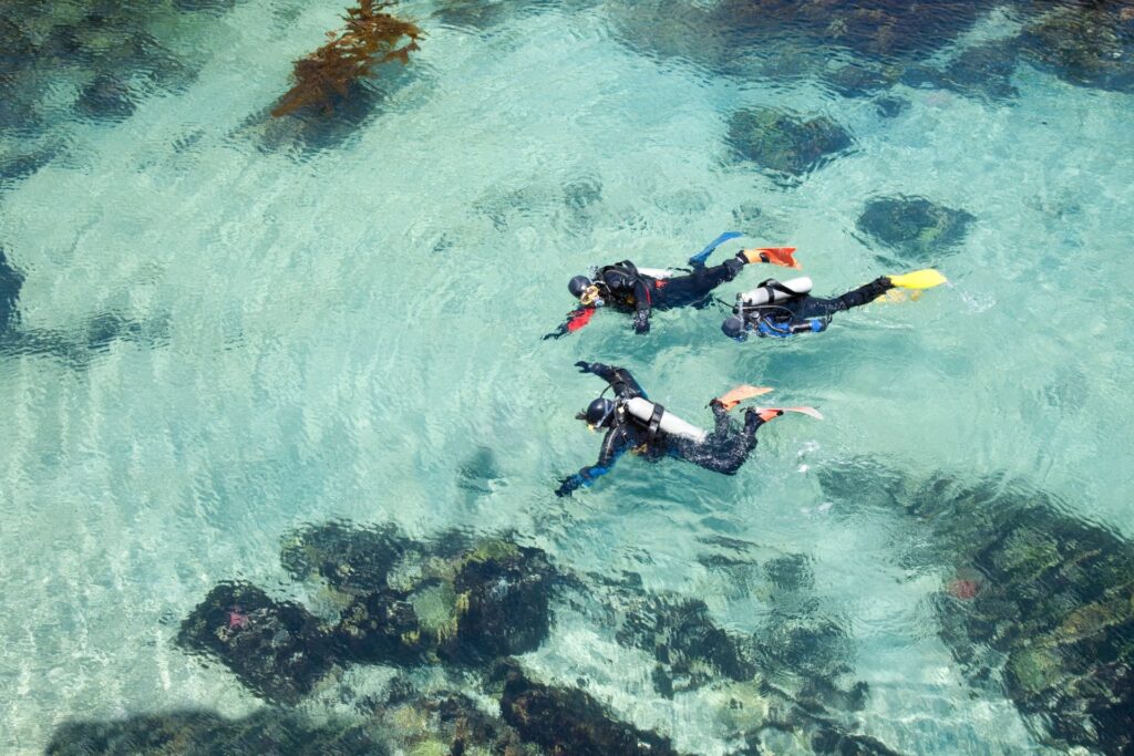 scuba divers swimming in clear blue water
