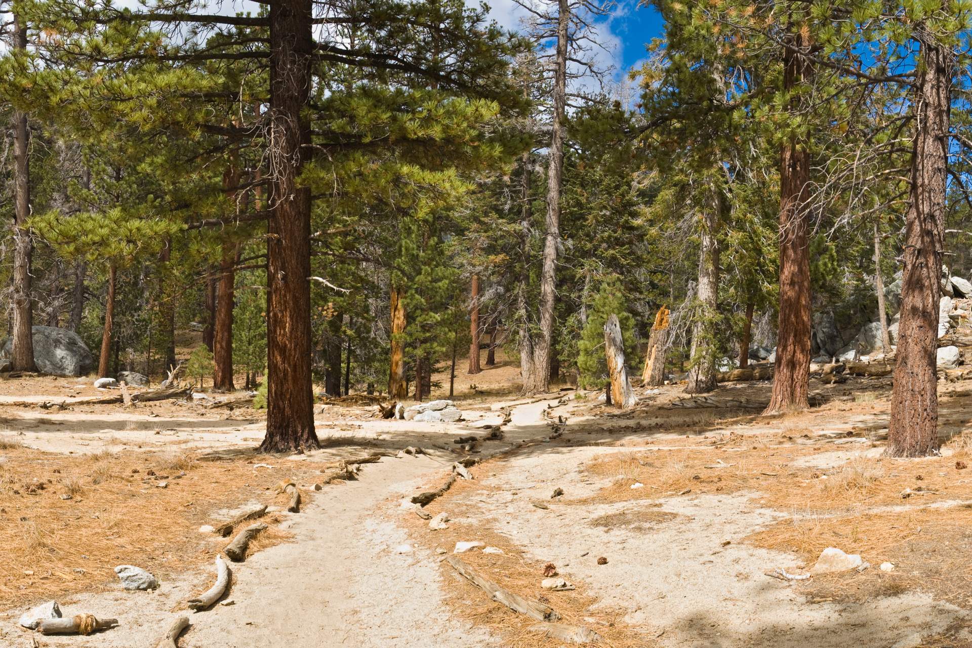 Hiking Kern Hot Springs High Sierra Trail: A Backpacker’s Guide