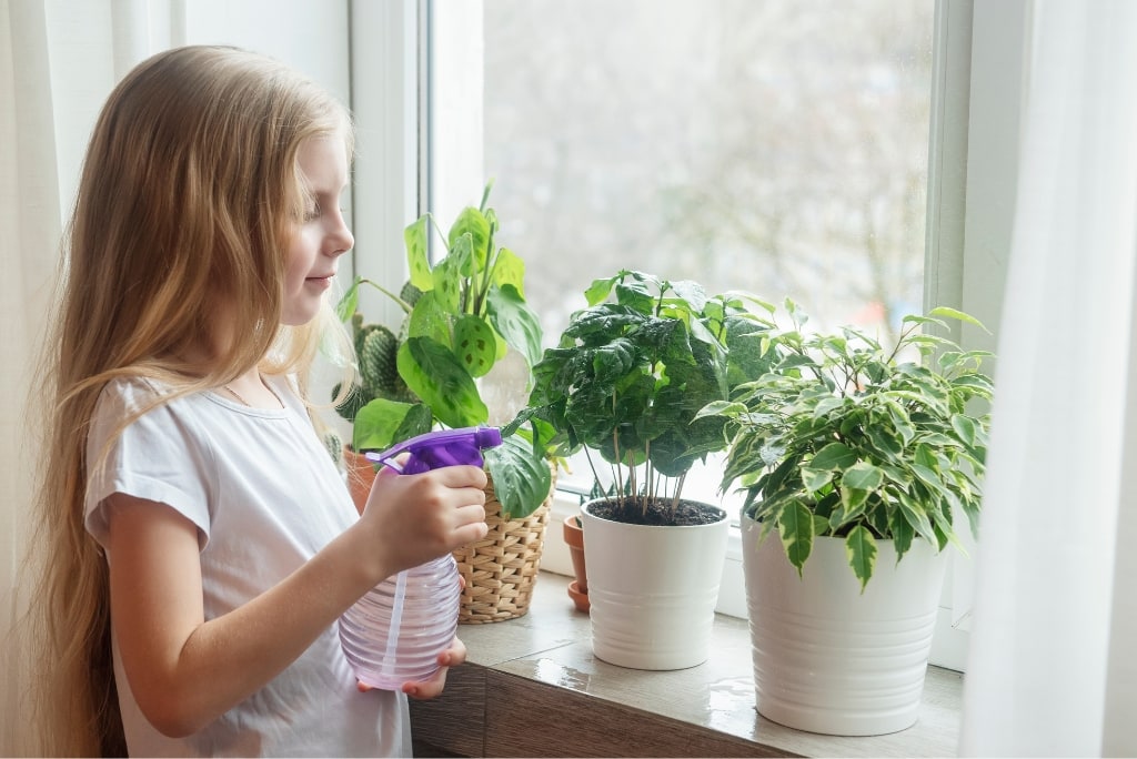 Watering the plants